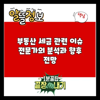 부동산 세금 관련 이슈: 전문가의 분석과 향후 전망